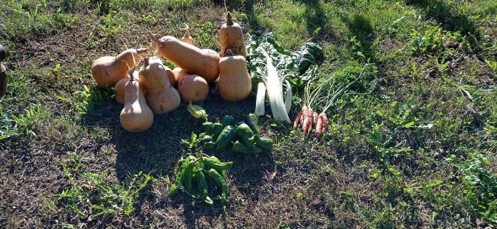 Albergue Olasenea Aterpea Zubieta Εξωτερικό φωτογραφία