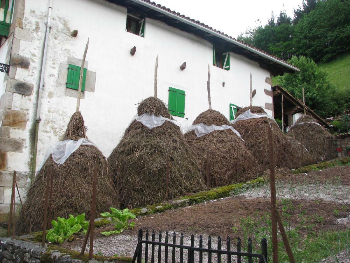 Albergue Olasenea Aterpea Zubieta Εξωτερικό φωτογραφία